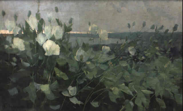 Karl Hagemeister